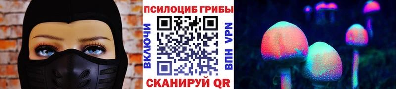 Галлюциногенные грибы мицелий  Уссурийск 